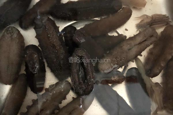 火龙果海参鲜饺的做法图解5