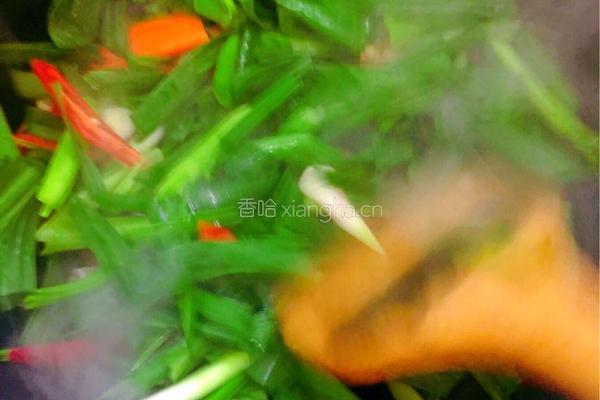 风鸭肉炒蒜苗的做法图解5