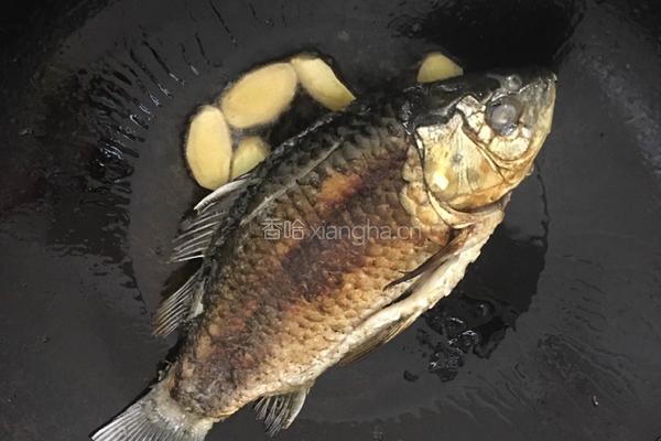豆腐鲫鱼汤的做法图解2