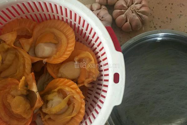 蒜蓉粉丝蒸扇贝的做法图解1