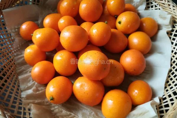 千儿妈厨房～金桔酱的做法图解1