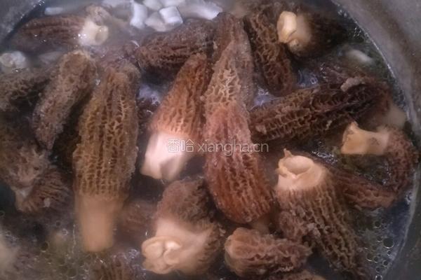 鸡脚浸羊肚菌的做法图解4