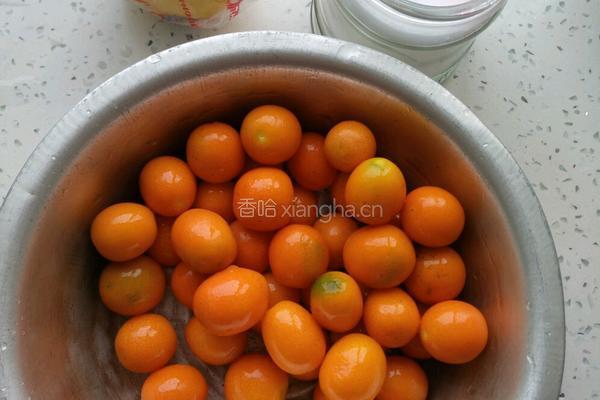 全能止咳灵的做法图解1