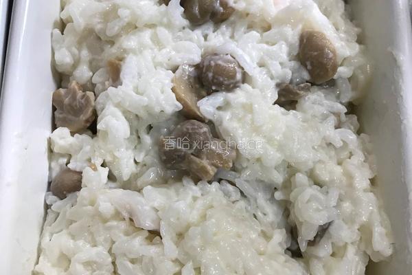 海鲜芝士焗饭的做法图解8