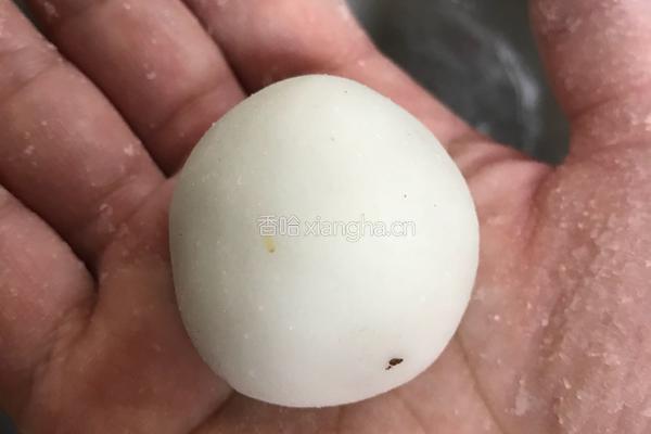 花生核桃馅汤圆的做法图解13