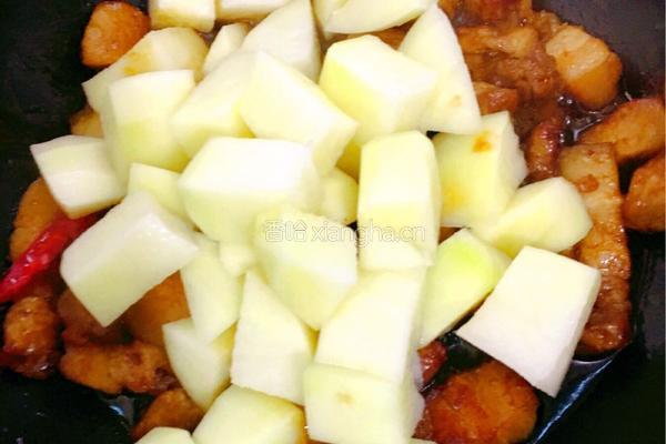 红烧肉炖土豆的做法图解8