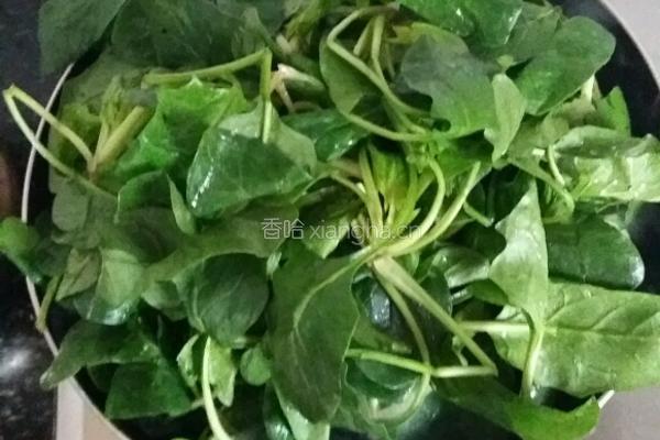 蒜蓉菠菜的做法图解2