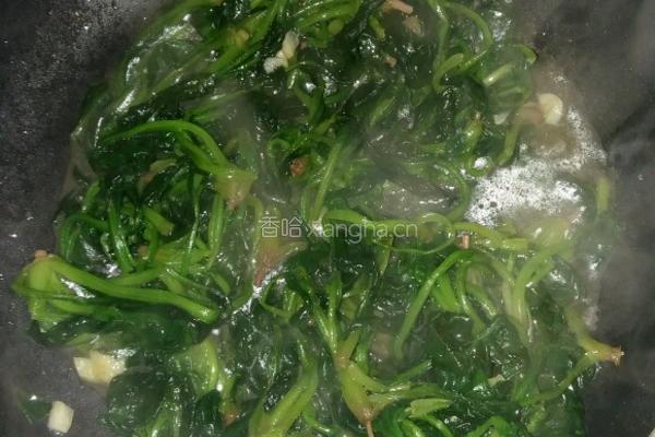 蒜蓉菠菜的做法图解5