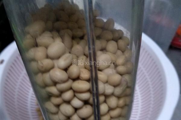 蒲公英菜豆腐的做法图解2