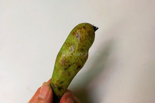 小葱蚕豆的做法图解1