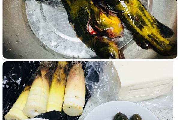 鲜笋黄辣丁的做法图解1