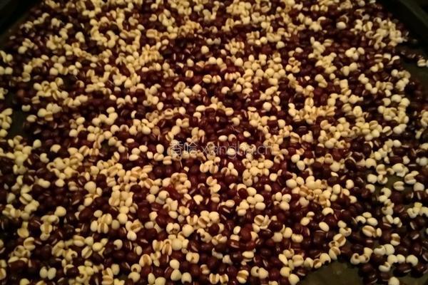 红豆薏米芡实粉的做法图解2