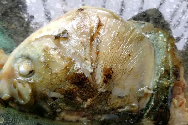 黄豆鱼头汤的做法图解5