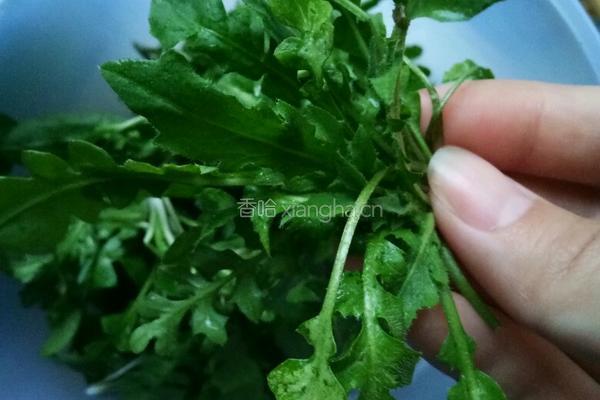 凉拌荠菜的做法图解1