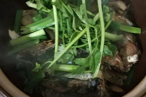 沙锅鱼头的做法图解10
