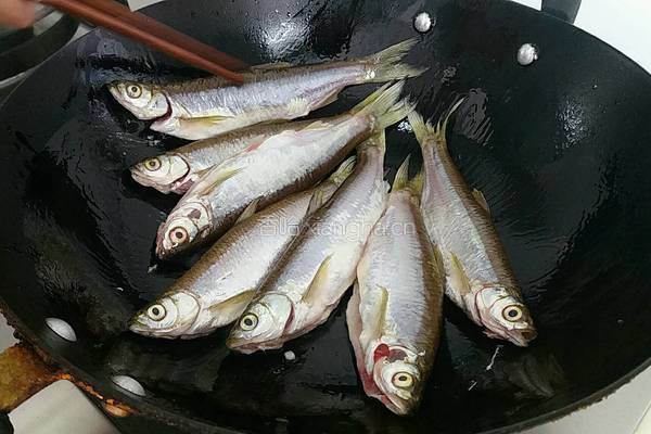 家常白条鱼的做法图解3