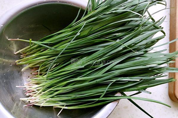 猪肉韭菜水饺的做法图解6