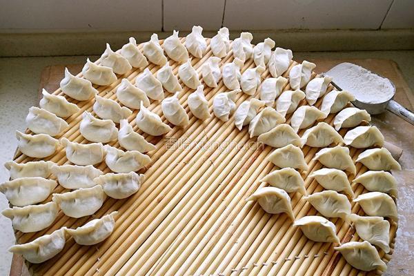 猪肉韭菜水饺的做法图解19