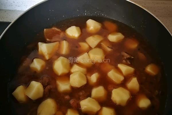 鸡肉烧土豆的做法图解9