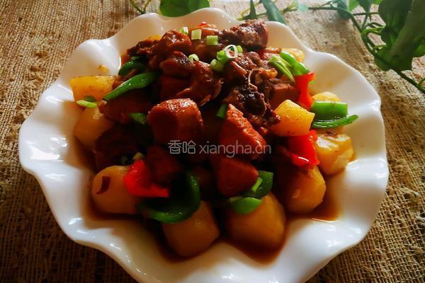 鸡肉烧土豆的做法图解11