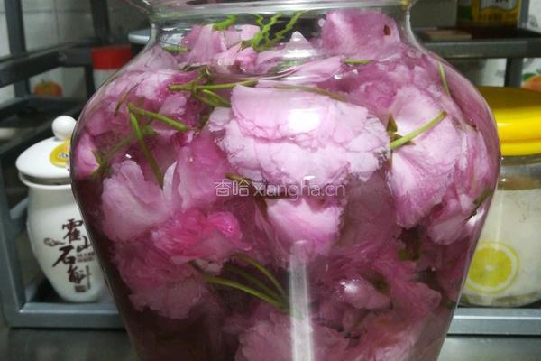 樱花酒的做法图解4