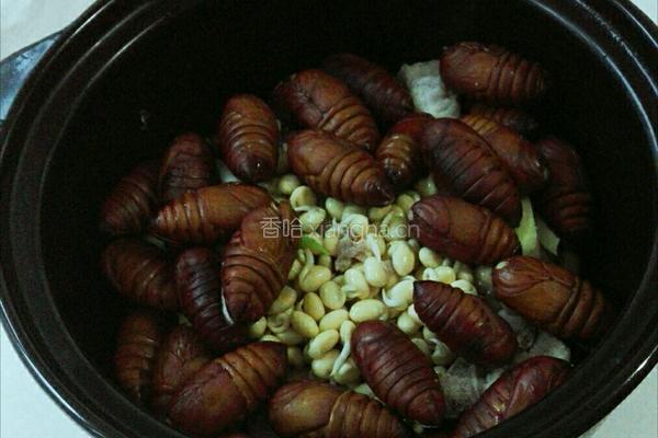 蚕蛹大骨汤的做法图解4