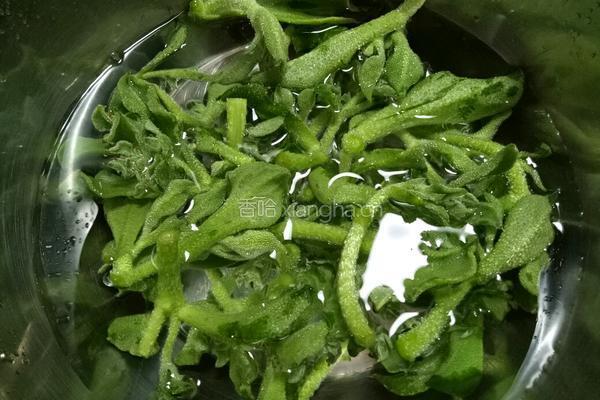 冰草紫甘蓝蔬菜沙拉的做法图解1