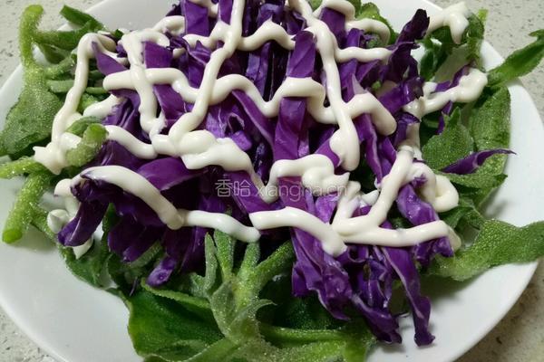 冰草紫甘蓝蔬菜沙拉的做法图解7