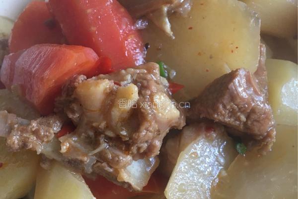 羊肉炖萝卜的做法图解5