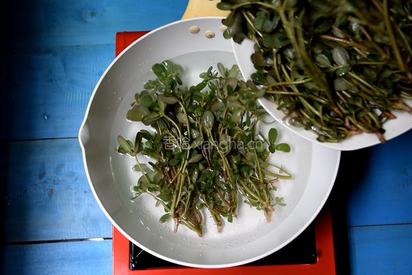 蒜蓉马齿苋的做法图解3