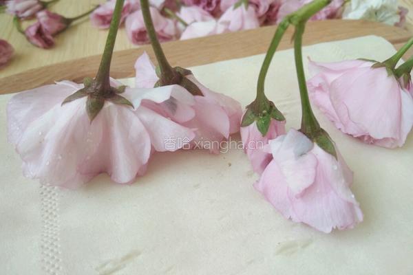 盐渍樱花的做法图解3