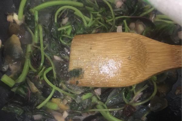 皮蛋炒苋菜的做法图解8