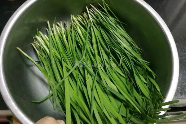 煎饼盒子的做法图解2
