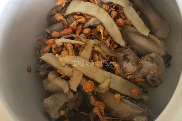 虫草花玉竹鸡汤的做法图解4