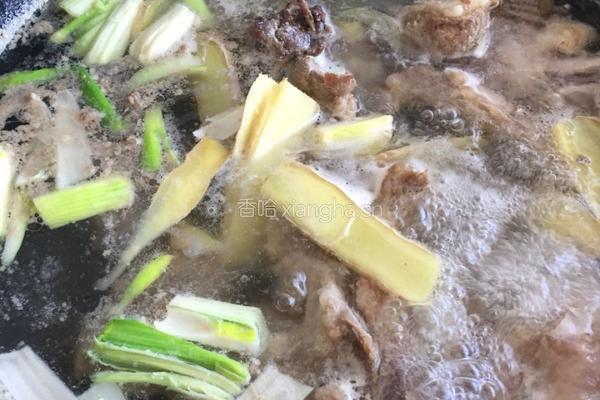 后山炖羊肉的做法图解2