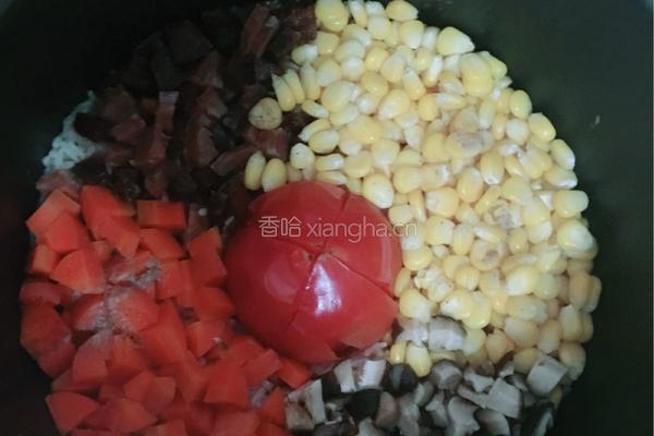网红西红柿闷饭的做法图解7
