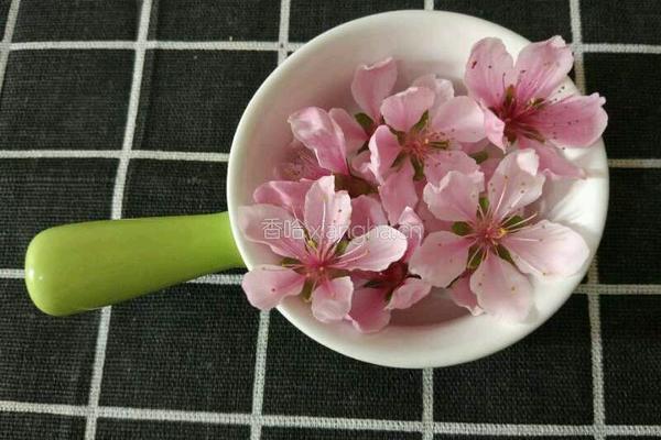 桃花雪燕的做法图解5