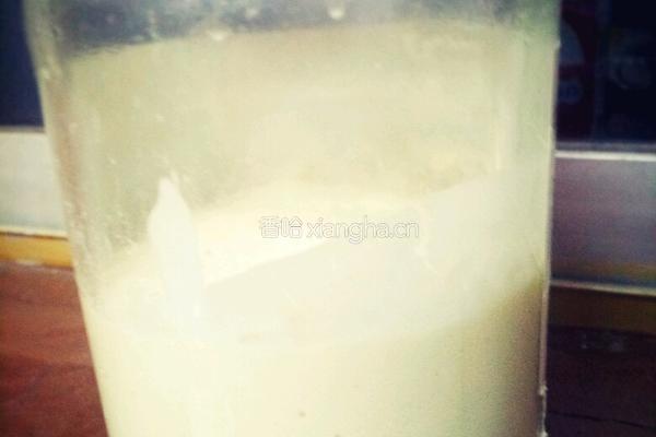 天然酵种二段的做法图解9