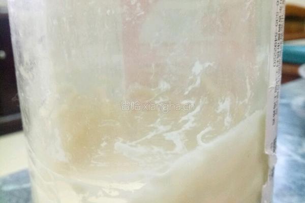 天然酵种二段的做法图解6