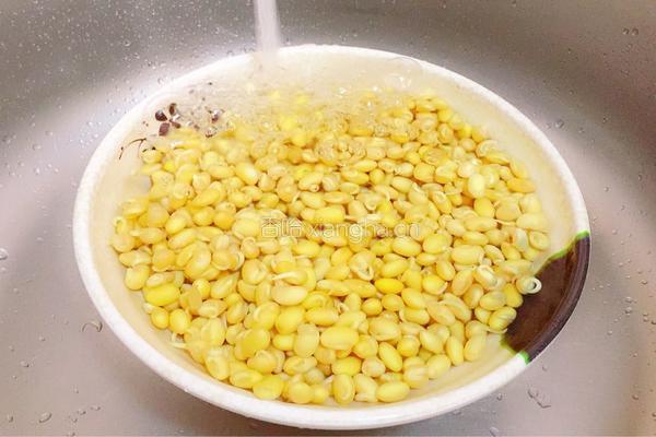 雪里蕻炖黄豆芽的做法图解4