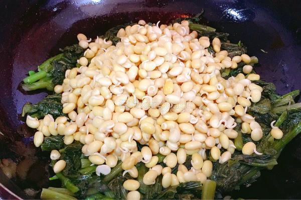 雪里蕻炖黄豆芽的做法图解8
