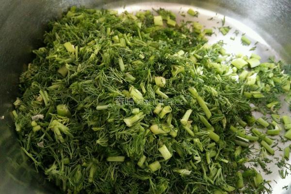 茴香素馅饼的做法图解4