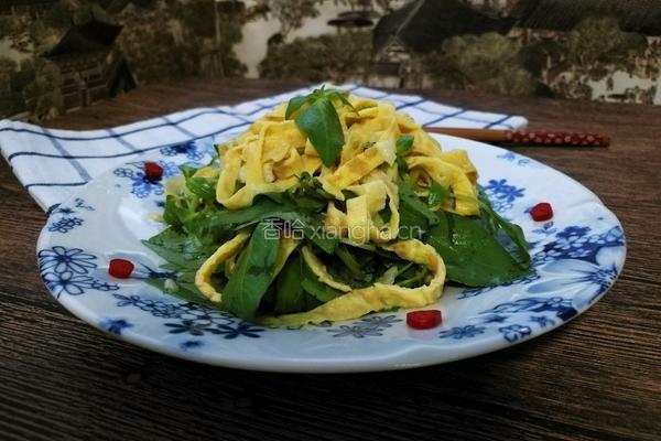 凉拌荆芥鸡蛋皮的做法图解8