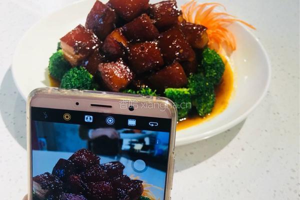 胡氏红烧肉的做法图解2