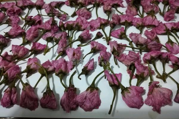 盐津樱花的做法图解4