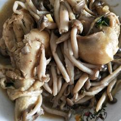 小蘑菇炖鸡腿的做法[图]