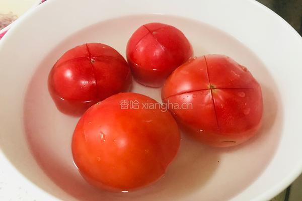 西红柿炖牛腩的做法图解2
