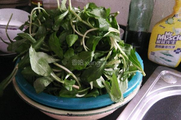 炒马兰头的做法图解1