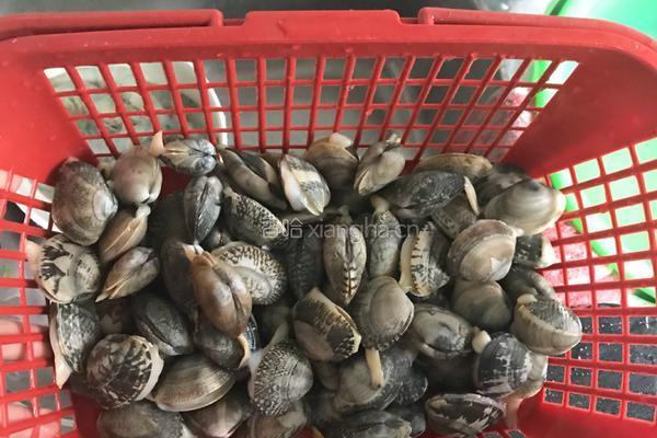 蒜蓉啤酒花甲的做法图解1