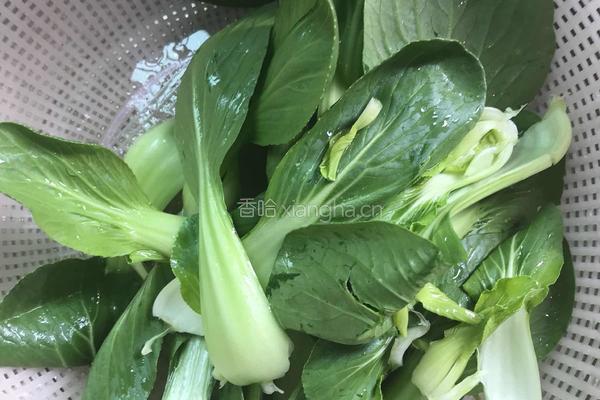 西红柿鸡胸肉丸青菜汤的做法图解12